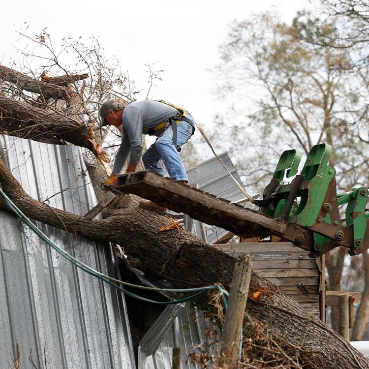 USDA Provides Assistance in Wake of Disasters